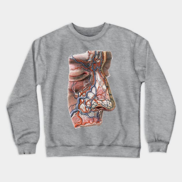 Vintage Human Anatomy, Blood Veins of the Face and Nose Crewneck Sweatshirt by MasterpieceCafe